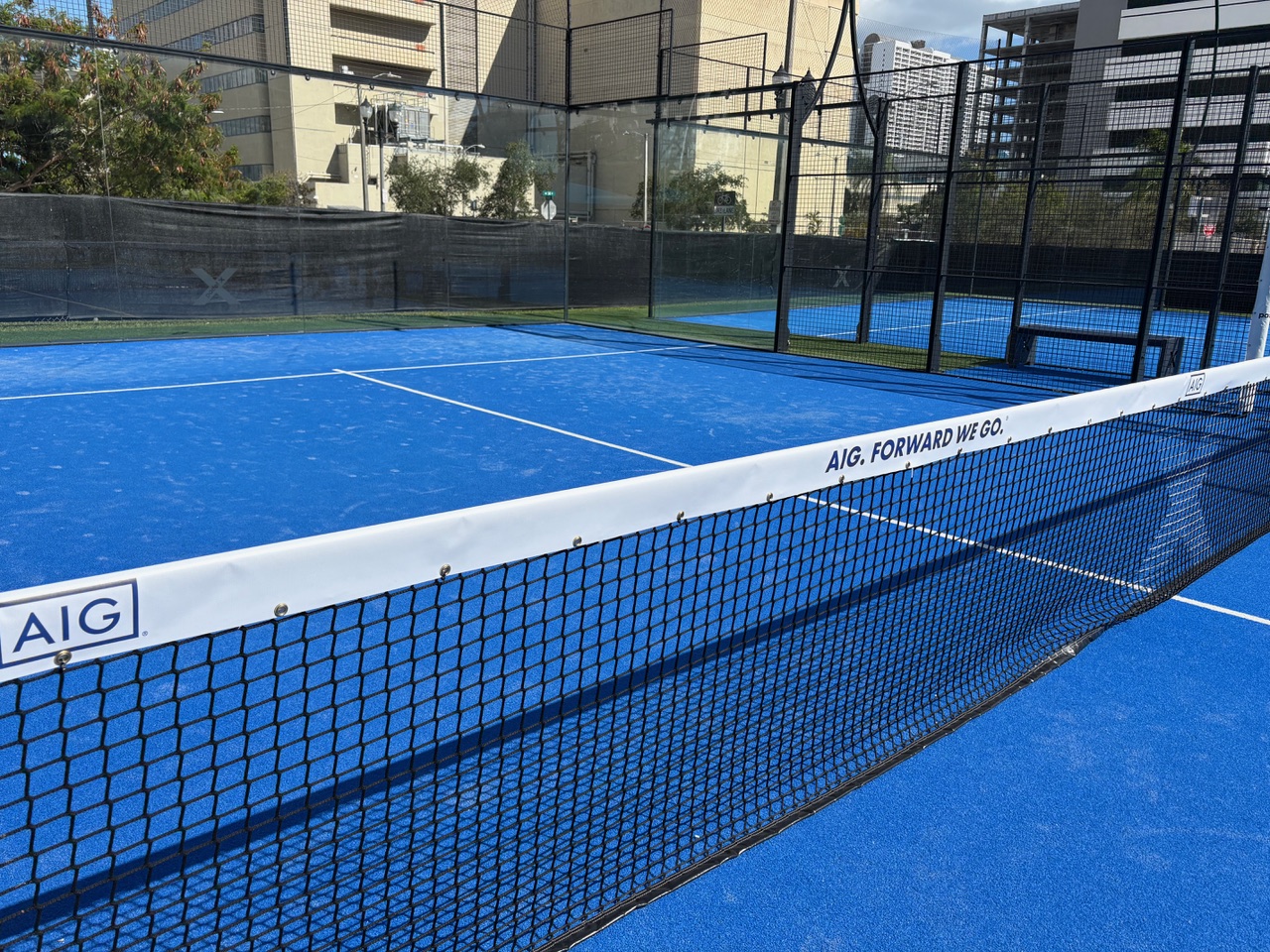 Reinforced net system